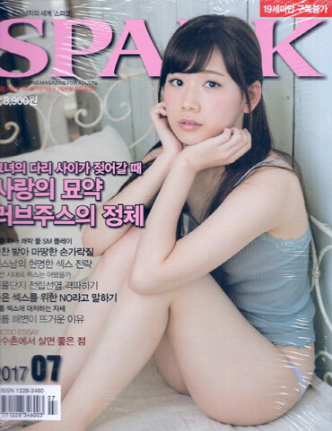 Spark Korean porn magazine