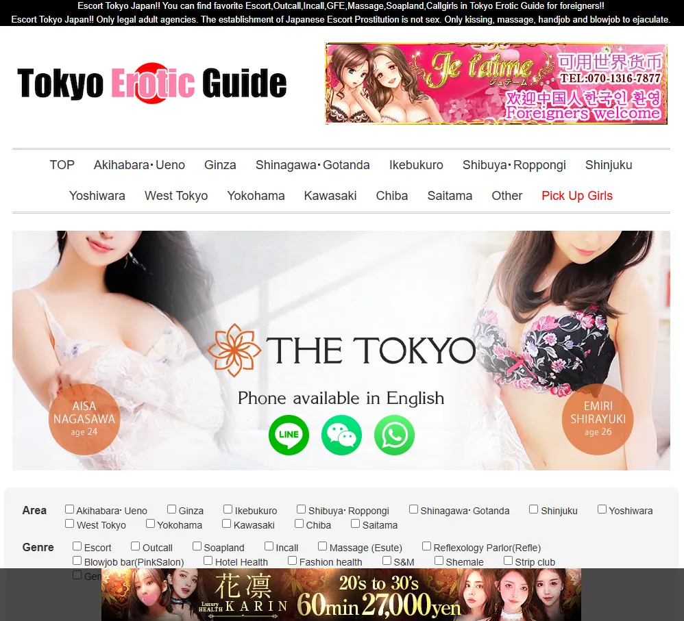 screenshot of tokyo erotic guide website